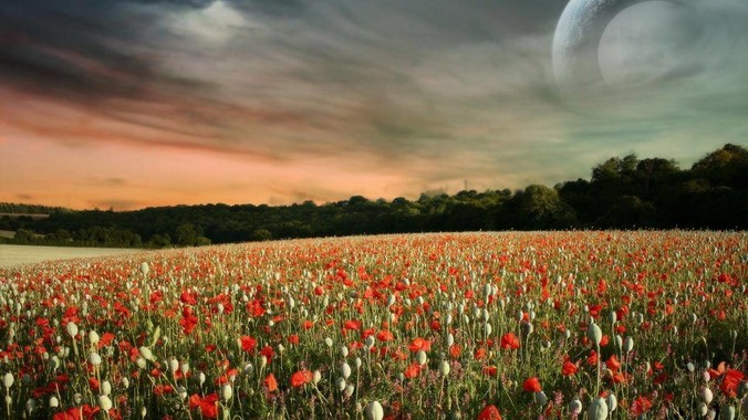 国产手机AI「好用」的背后，是技术差距还是文化差异？